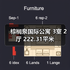 棕榈泉国际公寓 3室 2厅 222.31平米（图3）