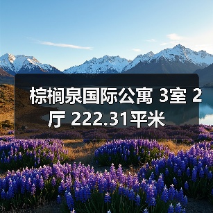 棕榈泉国际公寓 3室 2厅 222.31平米（图2）
