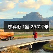 东斜街 1室 29.7平米（图1）