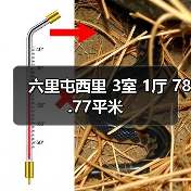 六里屯西里 3室 1厅 78.77平米（图3）
