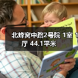 北蜂窝中路2号院 1室 1厅 44.1平米（图1）
