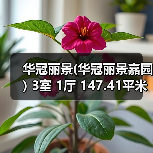 华冠丽景(华冠丽景嘉园) 3室 1厅 147.41平米（图3）