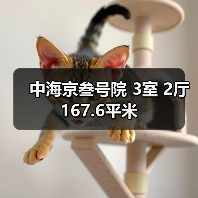 中海京叁号院 3室 2厅 167.6平米（图3）