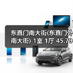 东直门南大街(东直门外南大街) 1室 1厅 45.79平米（图1）