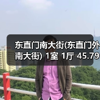 东直门南大街(东直门外南大街) 1室 1厅 45.79平米（图4）