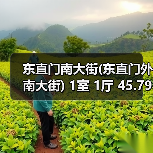 东直门南大街(东直门外南大街) 1室 1厅 45.79平米（图2）