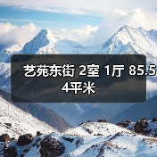 艺苑东街 2室 1厅 85.54平米（图2）