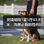 灵境胡同1室1厅43.9平米，购房必看的性价比房源（图1）