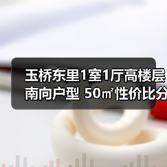 玉桥东里1室1厅高楼层南向户型 50㎡性价比分析（图2）