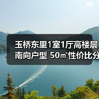 玉桥东里1室1厅高楼层南向户型 50㎡性价比分析（图4）