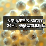 大宁山庄三区 3室2厅129㎡，低楼层南北通透购房参考（图1）