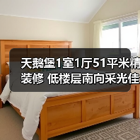 天鹅堡1室1厅51平米精装修 低楼层南向采光佳（图4）