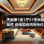 天鹅堡1室1厅51平米精装修 低楼层南向采光佳（图2）