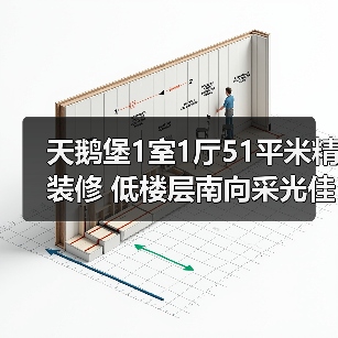 天鹅堡1室1厅51平米精装修 低楼层南向采光佳（图3）