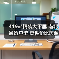 419㎡精装大平层 南北通透户型 高性价比房源（图2）