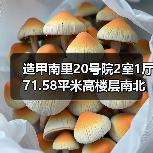 造甲南里20号院2室1厅71.58平米高楼层南北通透（图2）