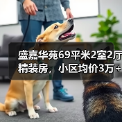 盛嘉华苑69平米2室2厅精装房，小区均价3万+/㎡，如何选？（图3）