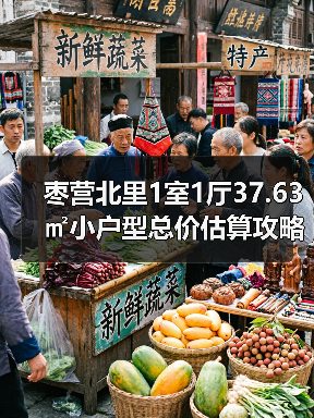 枣营北里1室1厅37.63㎡小户型总价估算攻略（图3）