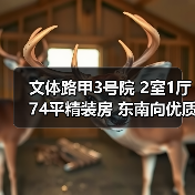 文体路甲3号院 2室1厅74平精装房 东南向优质户型（图1）