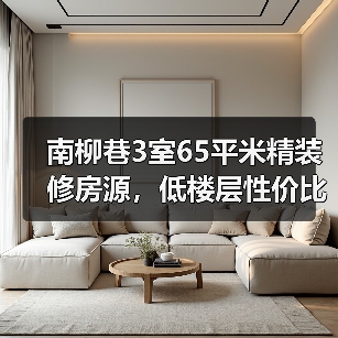 南柳巷3室65平米精装修房源，低楼层性价比高吗？（图4）