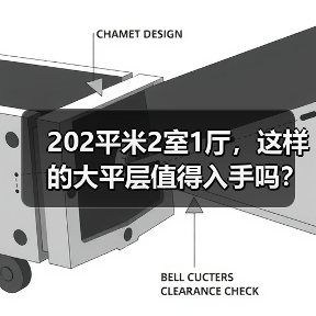202平米2室1厅，这样的大平层值得入手吗？（图2）