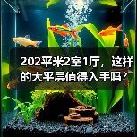 202平米2室1厅，这样的大平层值得入手吗？（图1）