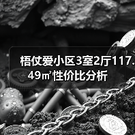 梧仗爱小区3室2厅117.49㎡性价比分析（图3）