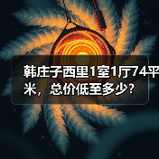 韩庄子西里1室1厅74平米，总价低至多少？（图1）