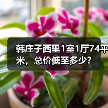 韩庄子西里1室1厅74平米，总价低至多少？（图2）