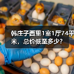 韩庄子西里1室1厅74平米，总价低至多少？（图4）