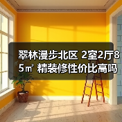 翠林漫步北区 2室2厅85㎡ 精装修性价比高吗？（图3）