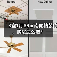 3室1厅89㎡南向精装修，购房怎么选？（图4）