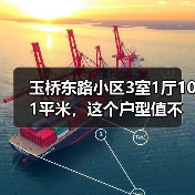 玉桥东路小区3室1厅101平米，这个户型值不值？（图3）