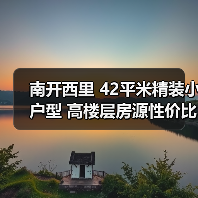 南开西里 42平米精装小户型 高楼层房源性价比分析（图1）
