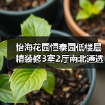 怡海花园恒泰园低楼层精装修3室2厅南北通透（图4）