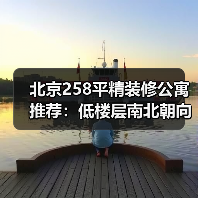 北京258平精装修公寓推荐：低楼层南北朝向值得入手吗？（图4）