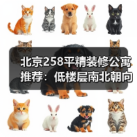 北京258平精装修公寓推荐：低楼层南北朝向值得入手吗？（图3）