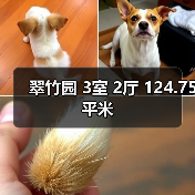 翠竹园 3室 2厅 124.75平米（图1）