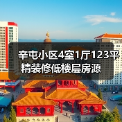 辛屯小区4室1厅123平精装修低楼层房源（图3）